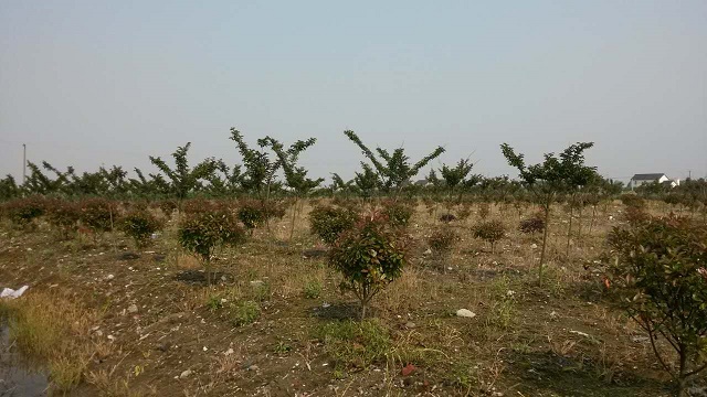 園區基地展示(1)